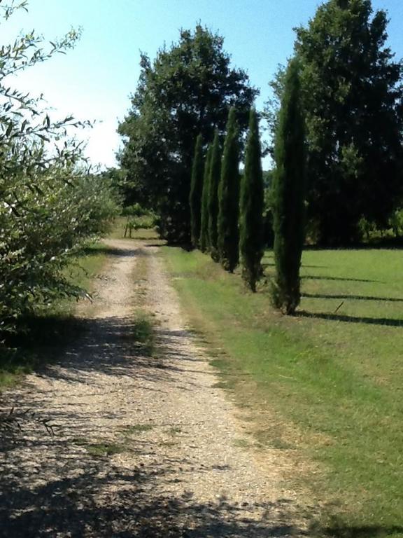 Campo Alle Monache Bucine Exterior photo