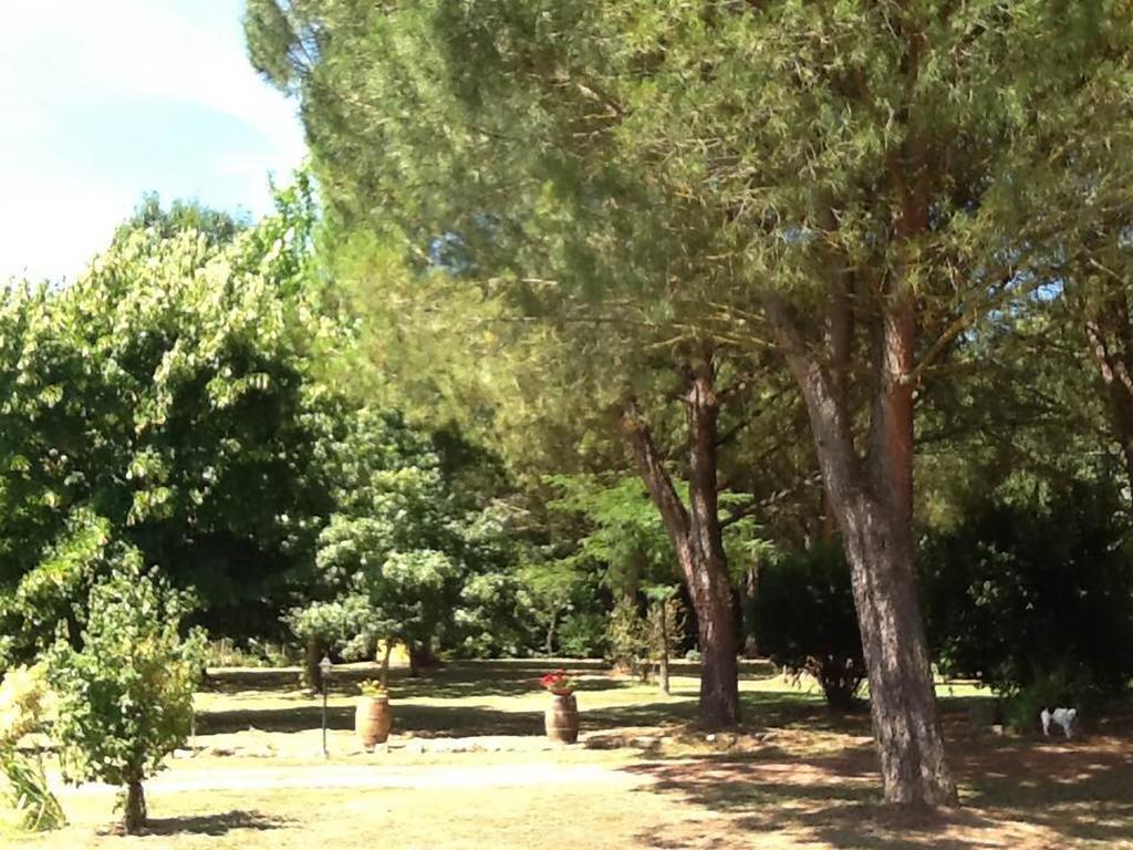 Campo Alle Monache Bucine Exterior photo